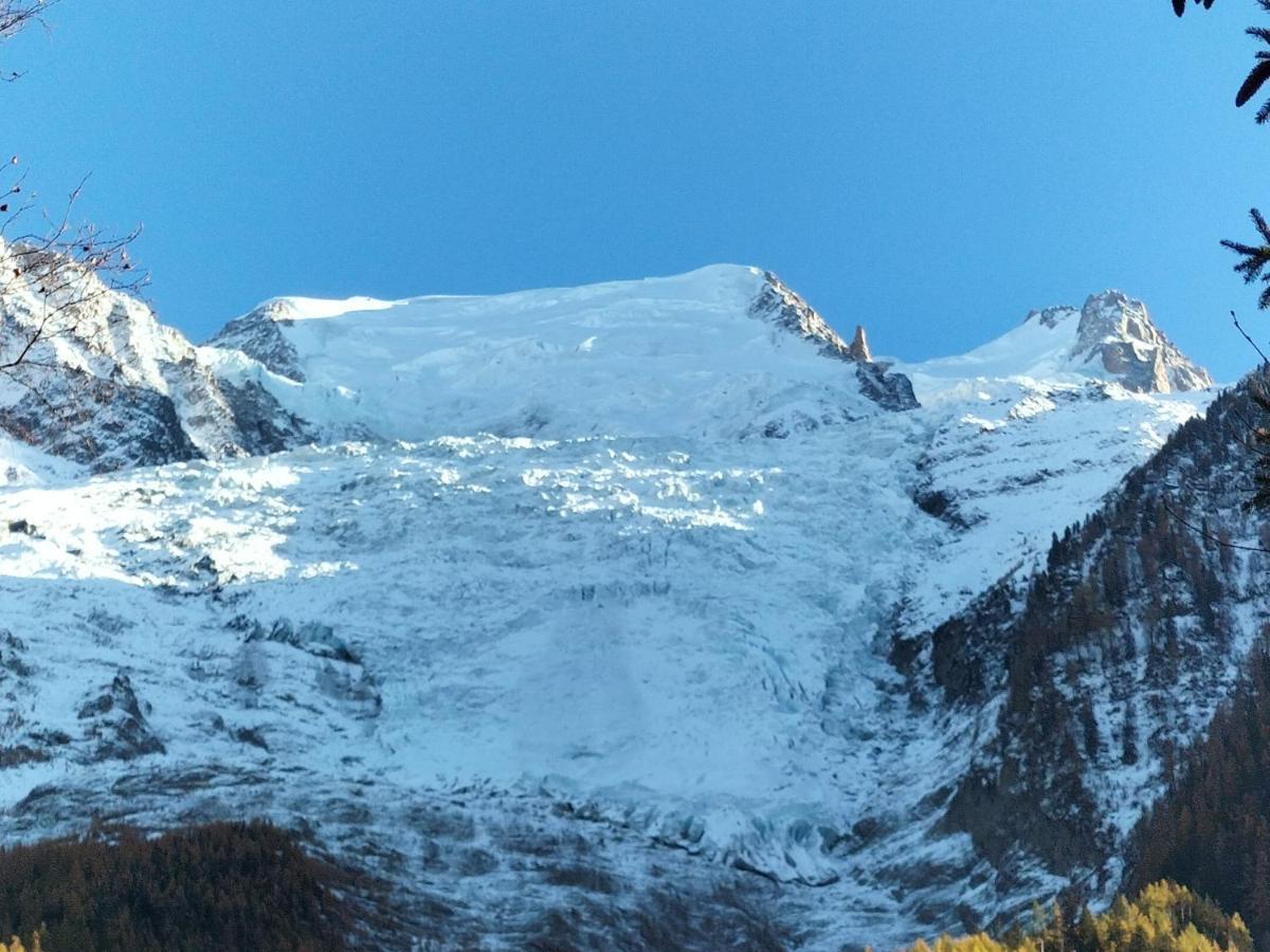 Le Montagny Les Houches